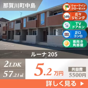 ルーナ 205