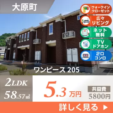ワンピース 205