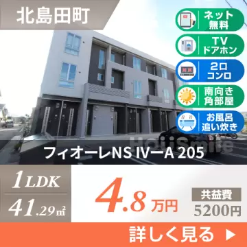 フィオーレNS IVーA 205