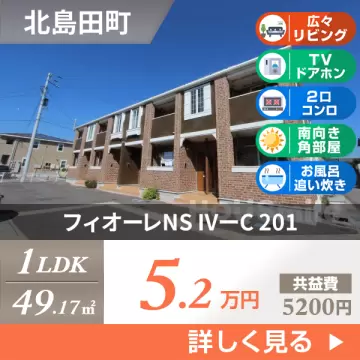 フィオーレNS IVーC 201