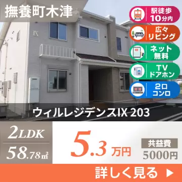 ウィルレジデンスIX 203