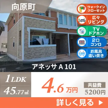 アネッサ A 101