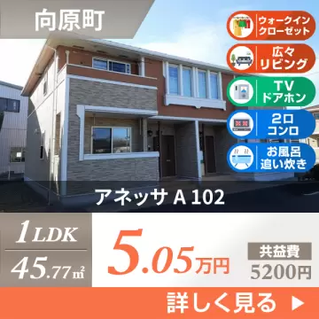 アネッサ A 102