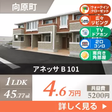 アネッサ B 101