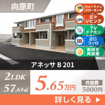 アネッサ B 201