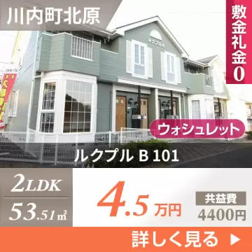 ルクプル B 101