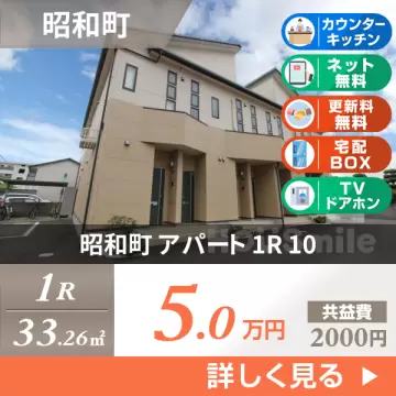 昭和町 アパート 1R 10
