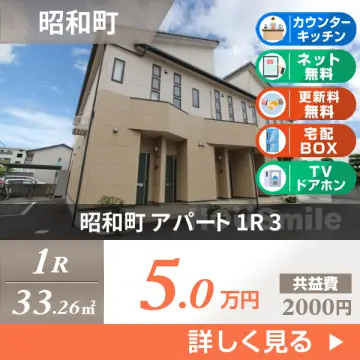 昭和町 アパート 1R 3