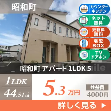 昭和町 アパート 1LDK 5