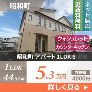 昭和町 アパート 1LDK 6