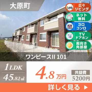 ワンピースII 101