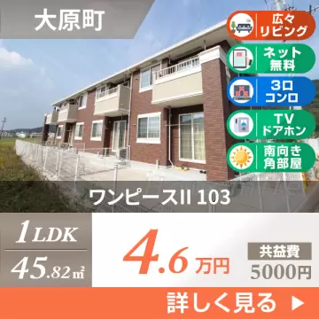 ワンピースII 103