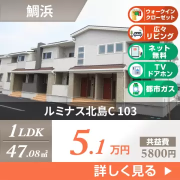 ルミナス北島C 103