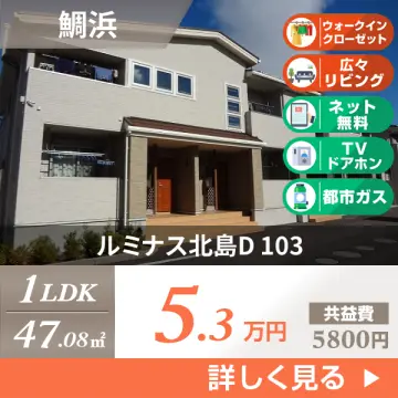 ルミナス北島D 103