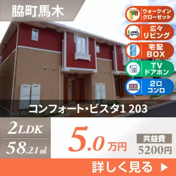 コンフォート・ビスタ1 203
