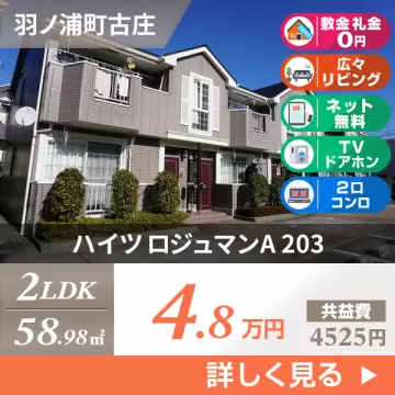 ハイツ ロジュマンA 203