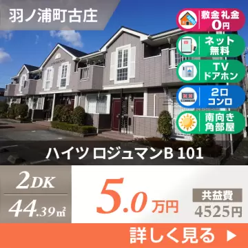 ハイツ ロジュマンB 101
