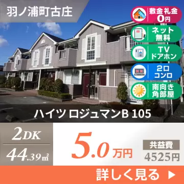 ハイツ ロジュマンB 105