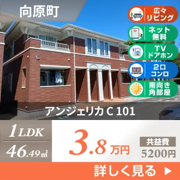 アンジェリカ C 101