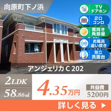 アンジェリカ C 202