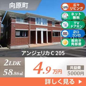 アンジェリカ C 205