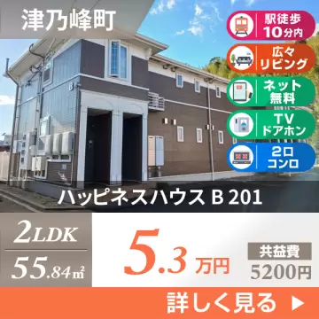 ハッピネスハウス B 201