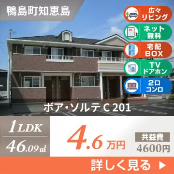 ボア・ソルテ C 201