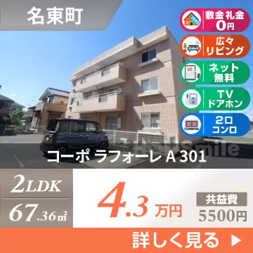 コーポ ラフォーレ A 301