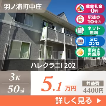 ハレクラニI 202
