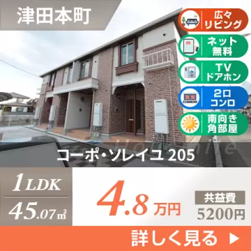 コーポ・ソレイユ 205