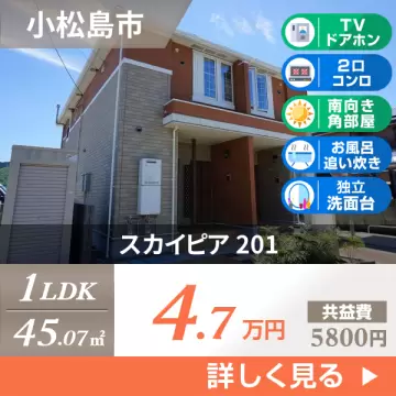 スカイピア 201
