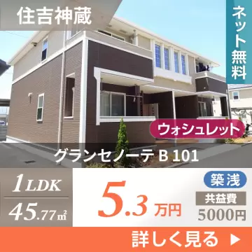 グランセノーテ B 101