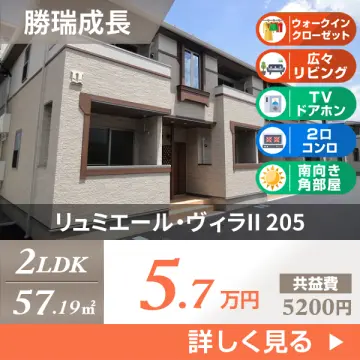 リュミエール・ヴィラII 205