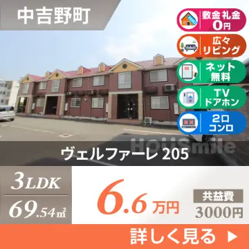 ヴェルファーレ 205
