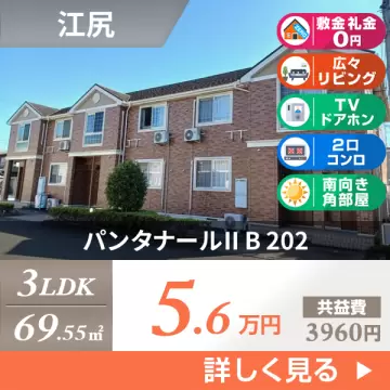 パンタナールII B 202