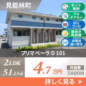 プリマベーラ D 101