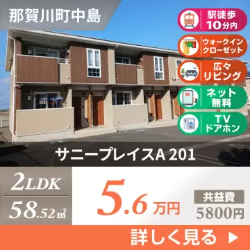 サニープレイスA 201