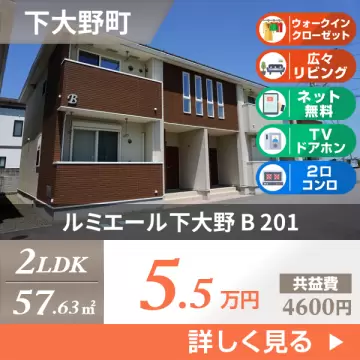 ルミエール下大野 B 201