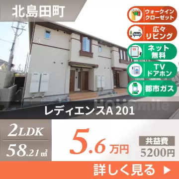 レディエンスA 201