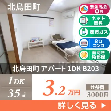 北島田町 アパート 1DK B203