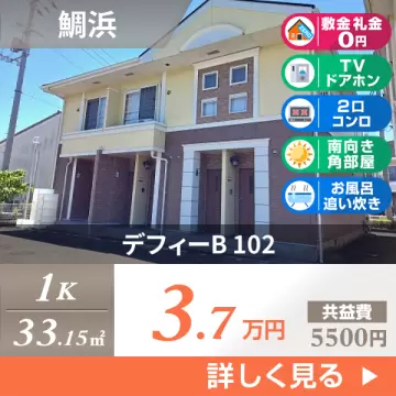 デフィーB 102