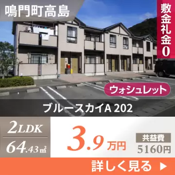 ブルースカイA 202