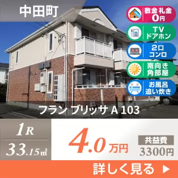 フラン ブリッサ A 103