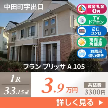 フラン ブリッサ A 105