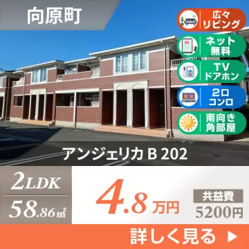 アンジェリカ B 202