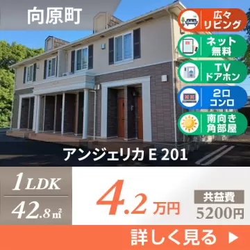 アンジェリカ E 201