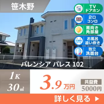 バレンシア パレス 102