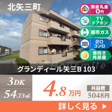 グランディール矢三B 103