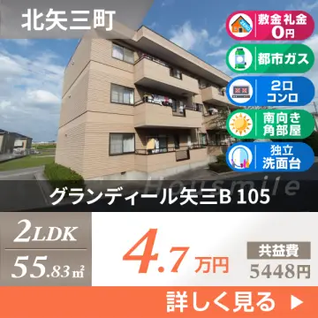 グランディール矢三B 105