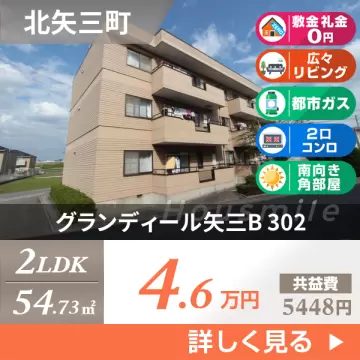 グランディール矢三B 302